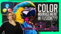 Color Management Basics in Fusion
