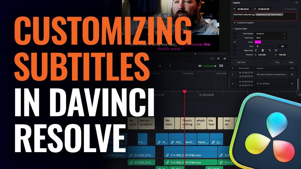 How to Customize Subtitles in DaVinci Resolve DVResolve