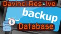 Backing Up Resolve Databases