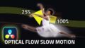 Slow Motion with Optical Flow