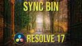 How to Use The Sync Bin
